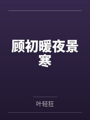 顾初暖夜景寒